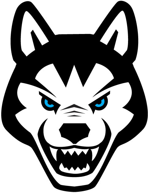 Northeastern Huskies 2001-2006 Alternate Logo DIY iron on transfer (heat transfer)
